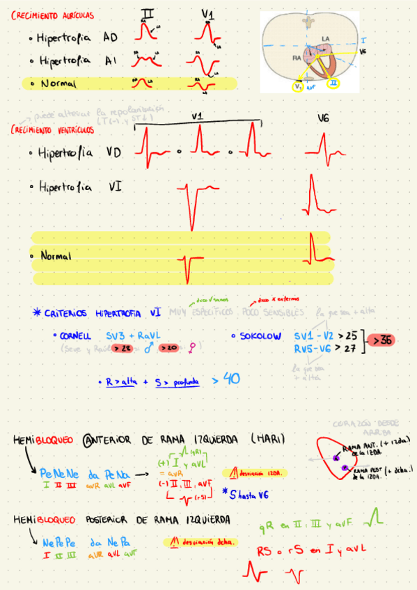 Miniatura del documento No-Olvidar-Cardio.pdf