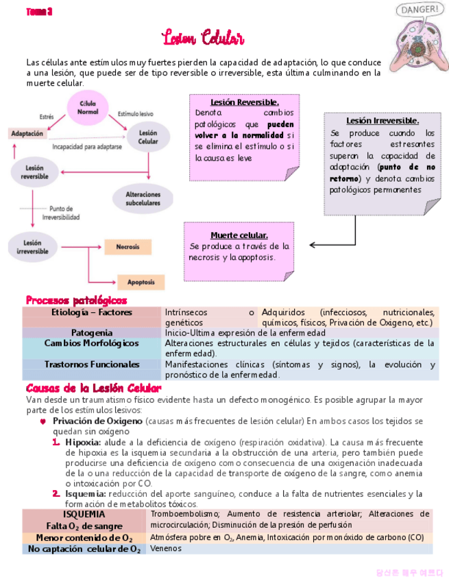 Miniatura del documento Tema-3-Lesion-Celular.pdf