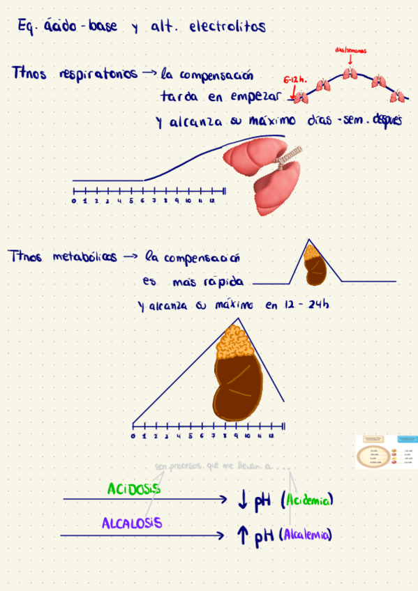 Miniatura del documento A-B-Y-Electrolitos.pdf