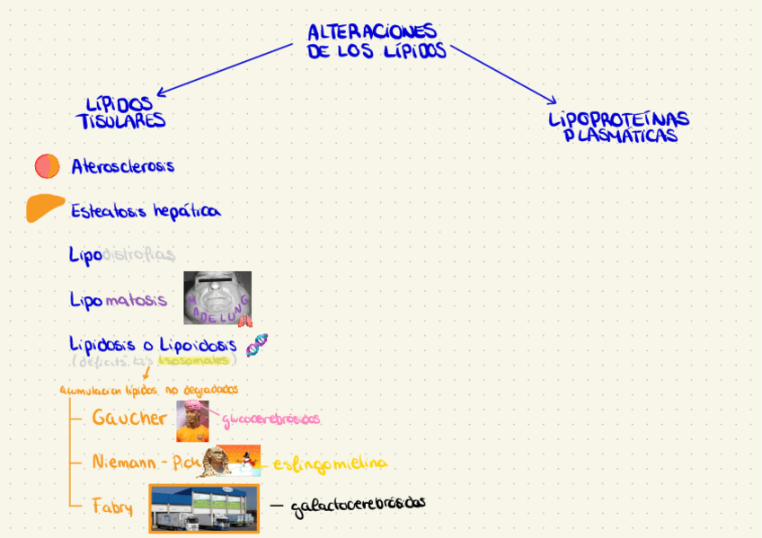 Miniatura del documento Untitled.pdf