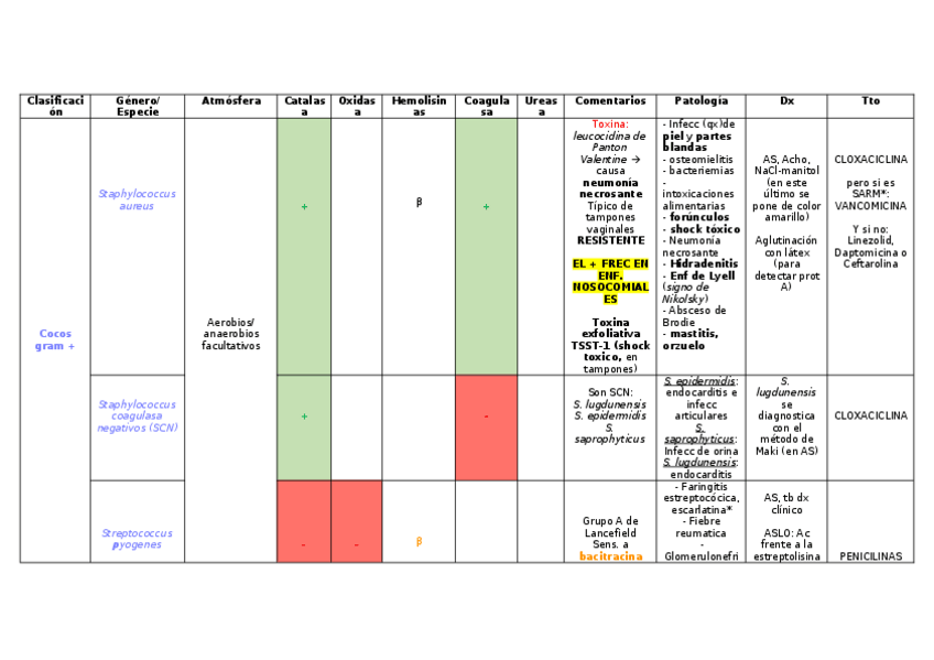 Miniatura del documento Clasificacion-bacterias.docx