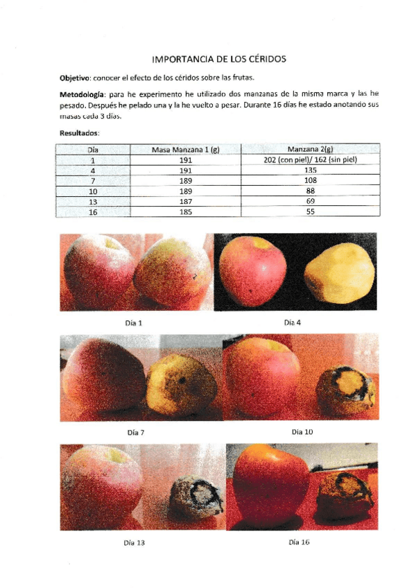 Miniatura del documento PRACTICAS-DE-LABORATORIO-Lipidos.pdf