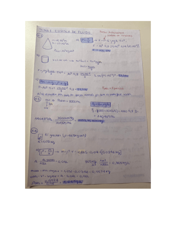 Miniatura del documento estatica-de-fluids-tema-1.pdf