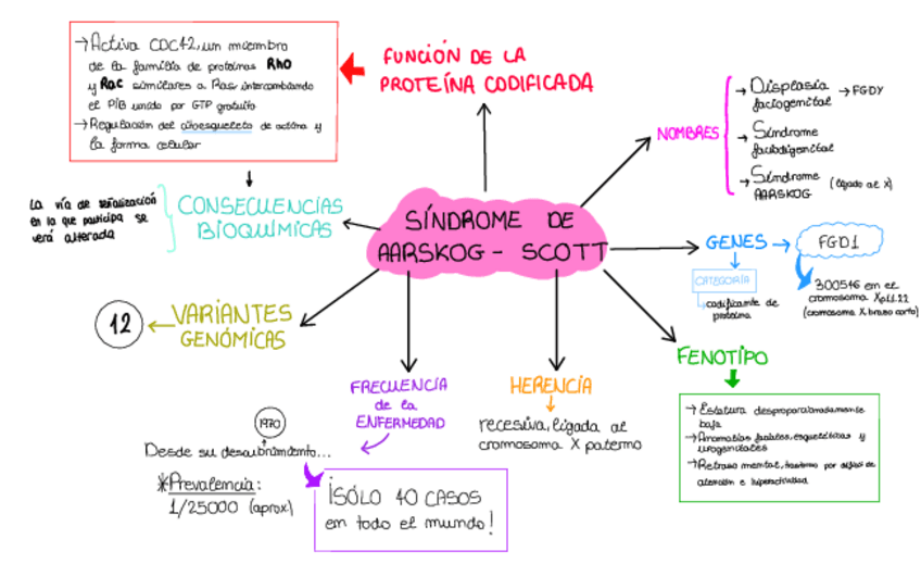 Miniatura del documento TRABAJO-EN-GRUPO.pdf