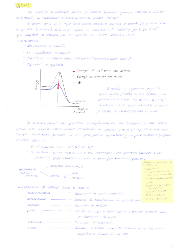 Miniatura del documento BQ-ENZIMAS-1o-FISIO-22-23.pdf
