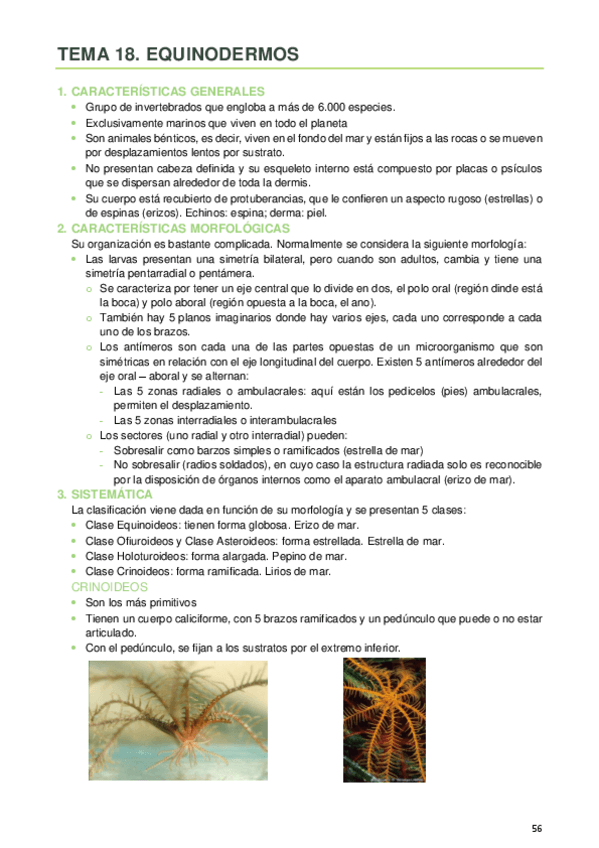 Miniatura del documento 18.pdf