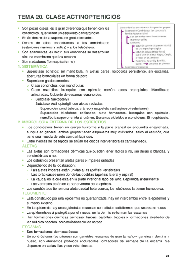 Miniatura del documento 20.pdf