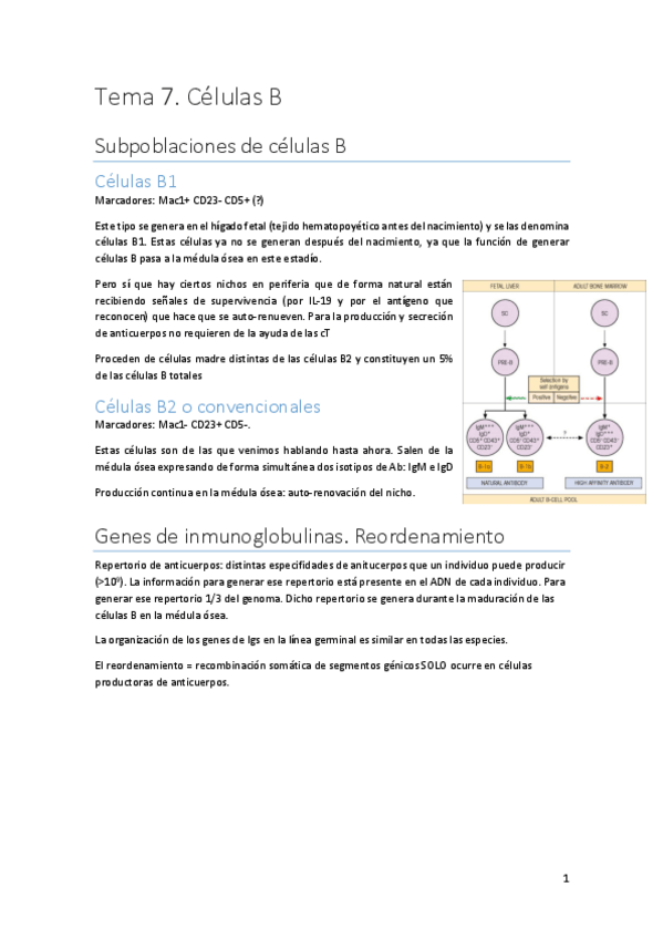 Miniatura del documento Tema-7.pdf