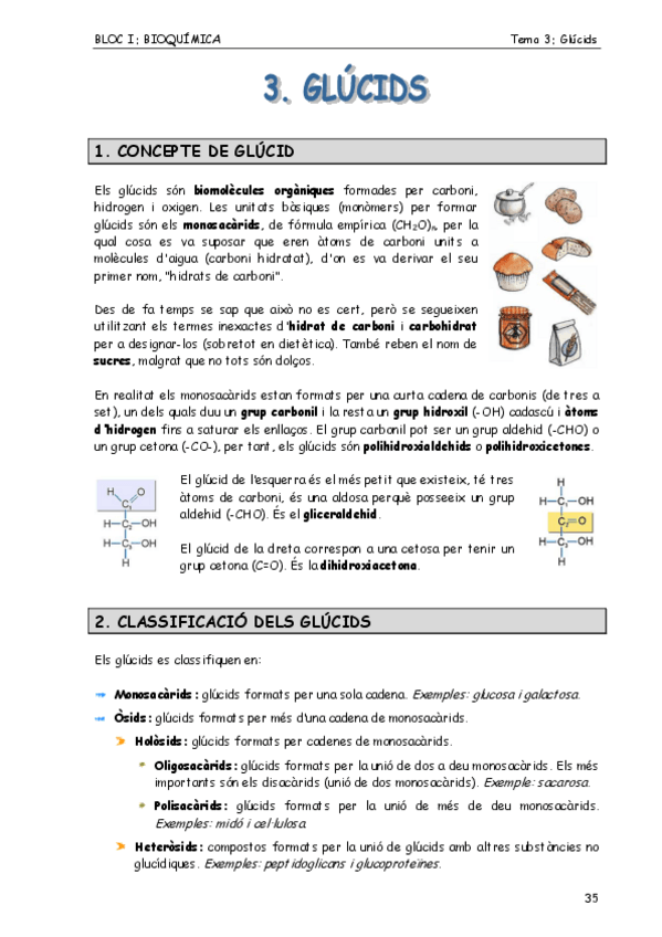Miniatura del documento Glucids-.pdf
