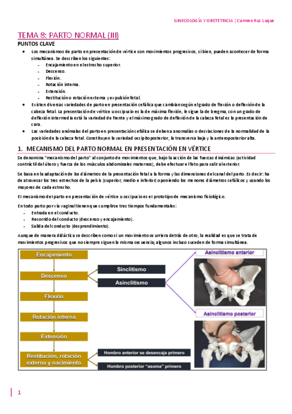 Miniatura del documento TEMA-8.pdf