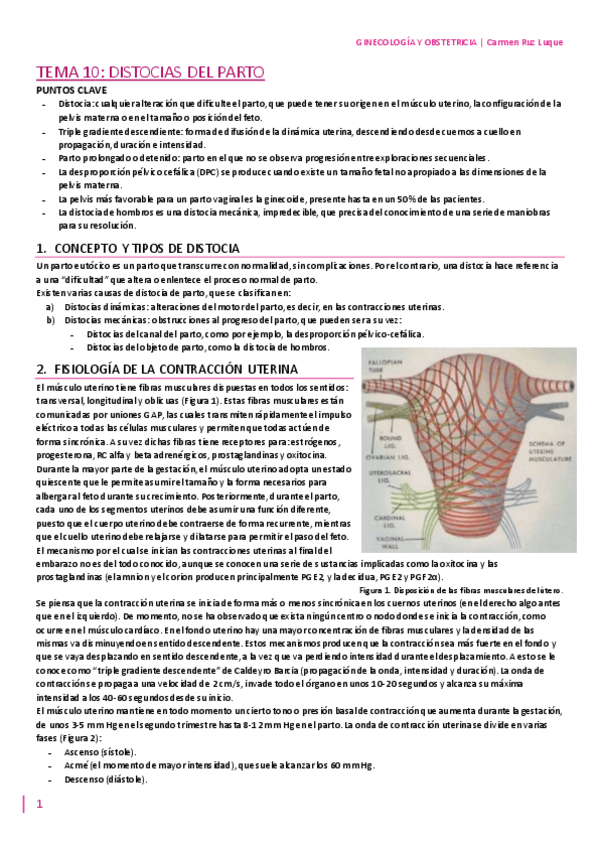 Miniatura del documento TEMA-10.pdf