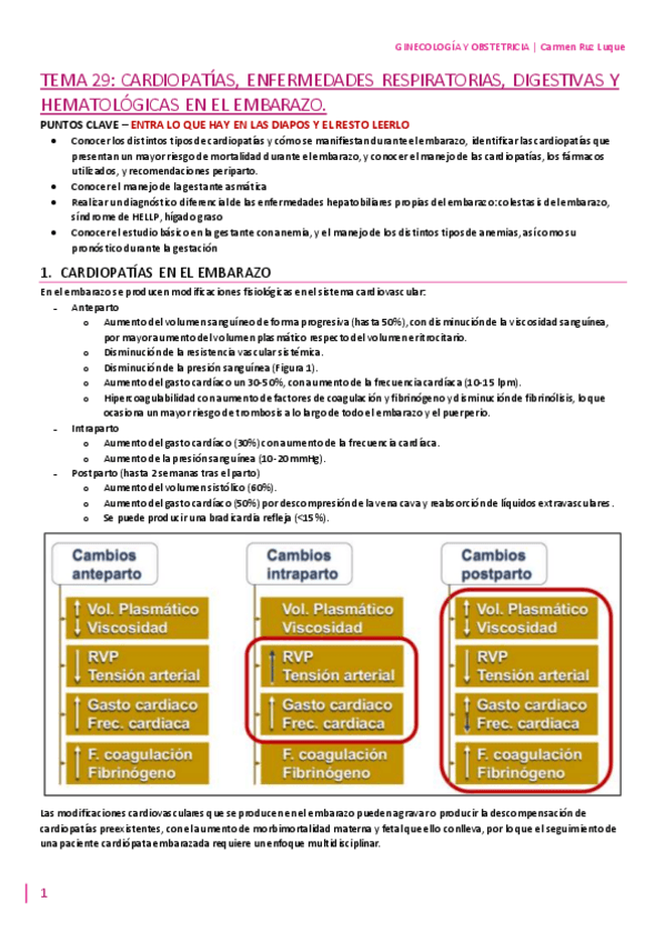 Miniatura del documento TEMA-29.pdf
