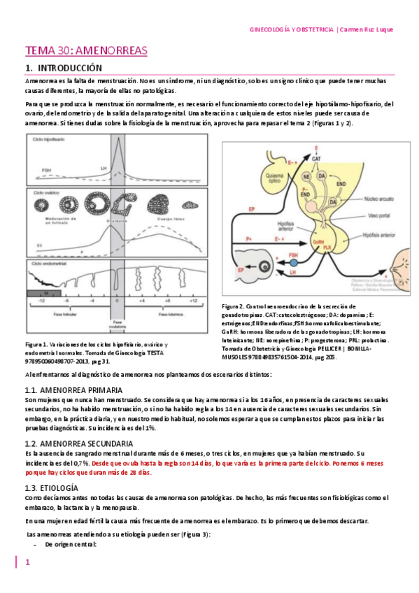 Miniatura del documento TEMA-30.pdf