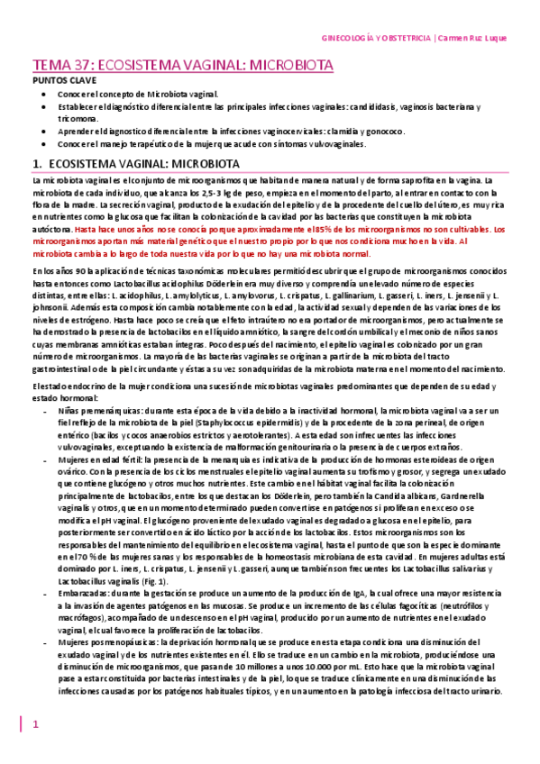 Miniatura del documento TEMA-37.pdf