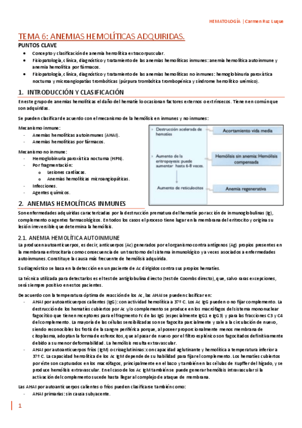 Miniatura del documento TEMA-6.pdf