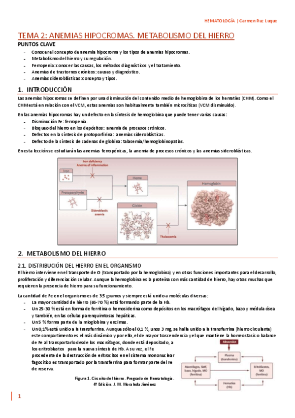 Miniatura del documento TEMA-2.pdf