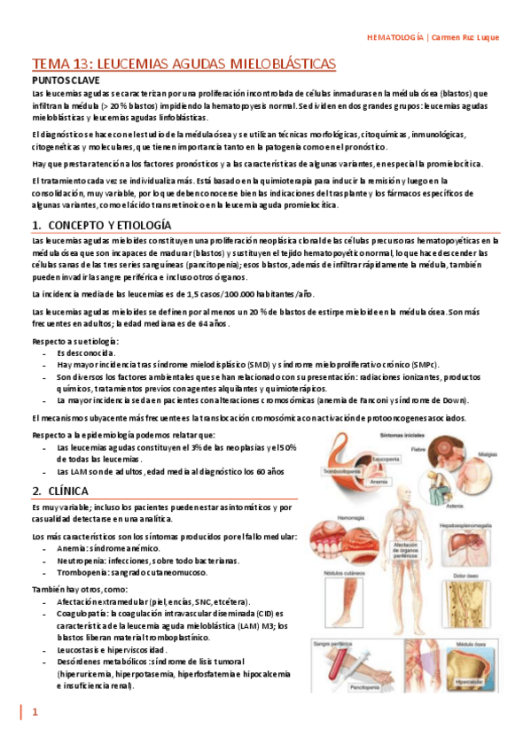 Miniatura del documento TEMA-13.pdf