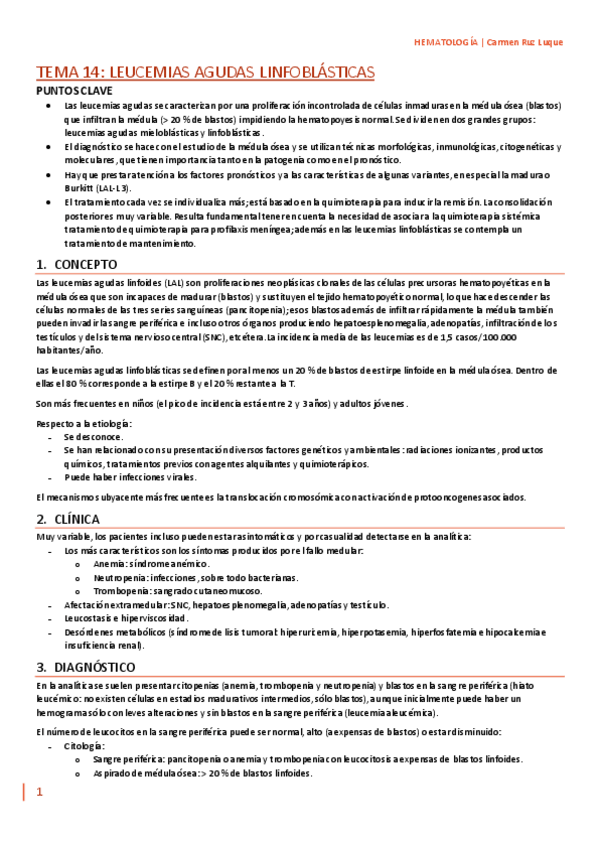 Miniatura del documento TEMA-14.pdf