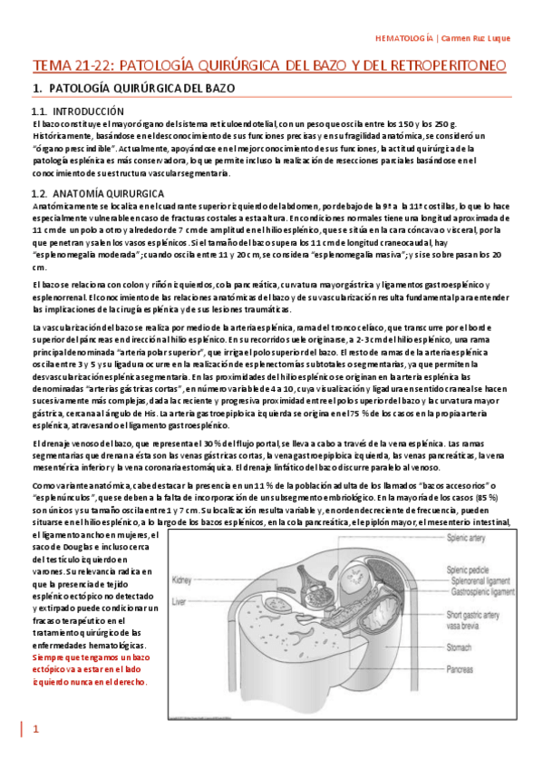 Miniatura del documento TEMA-21-22.pdf