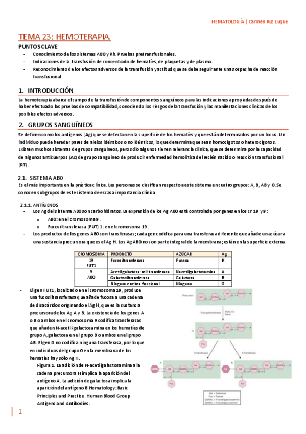 Miniatura del documento TEMA-23.pdf