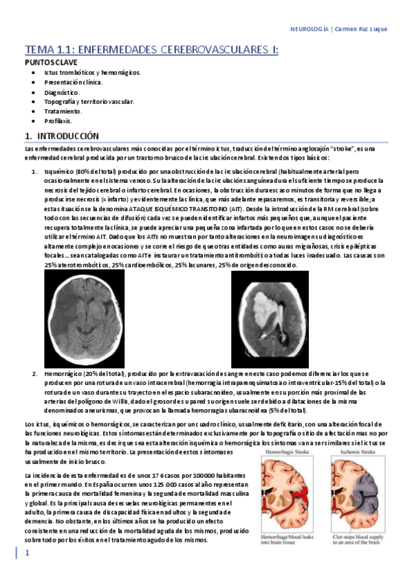 Miniatura del documento TEMA-1.1.pdf
