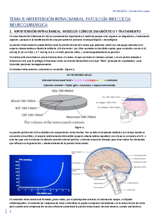 Miniatura del documento TEMA-8.pdf
