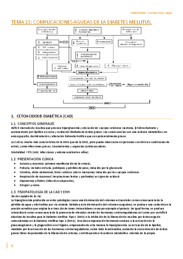 Miniatura del documento TEMA-23.pdf