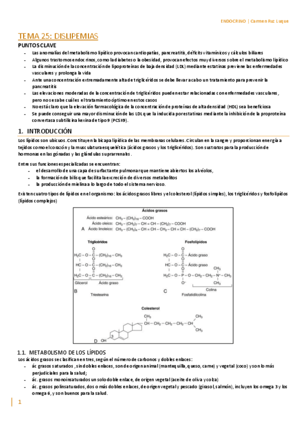 Miniatura del documento TEMA-25.pdf