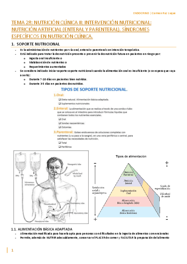 Miniatura del documento TEMA-28.pdf