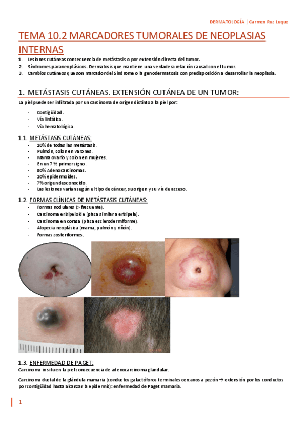 Miniatura del documento TEMA-10.2..pdf