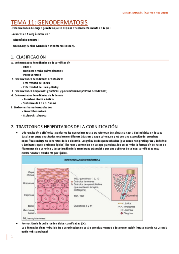 Miniatura del documento TEMA-11.pdf