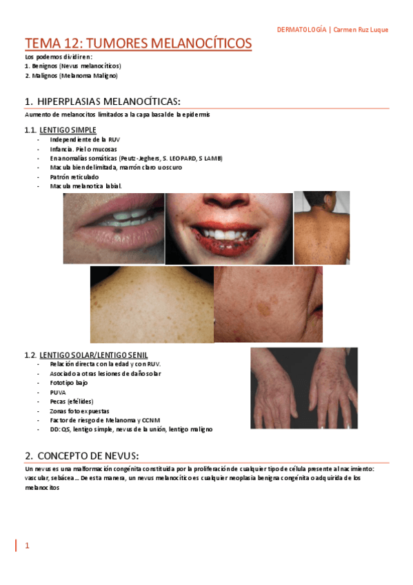 Miniatura del documento TEMA-12.pdf