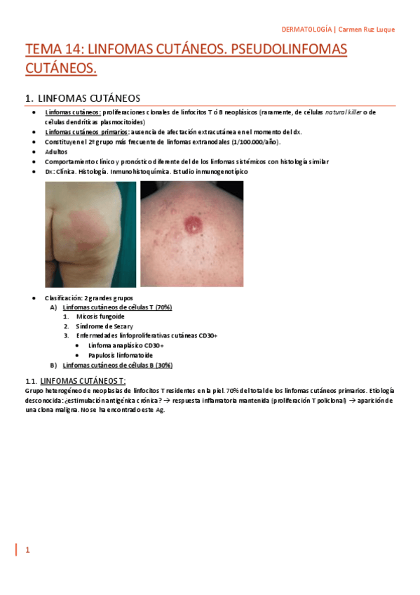 Miniatura del documento TEMA-14.pdf