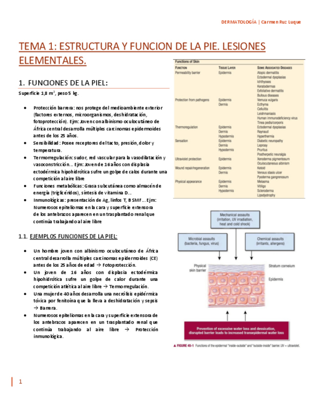 Miniatura del documento TEMA-1.pdf