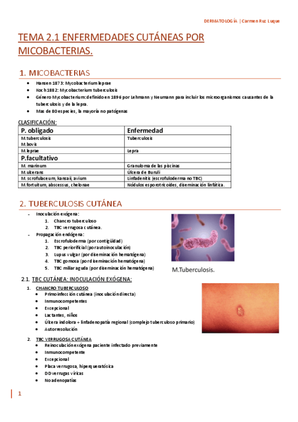 Miniatura del documento TEMA-2.1.pdf