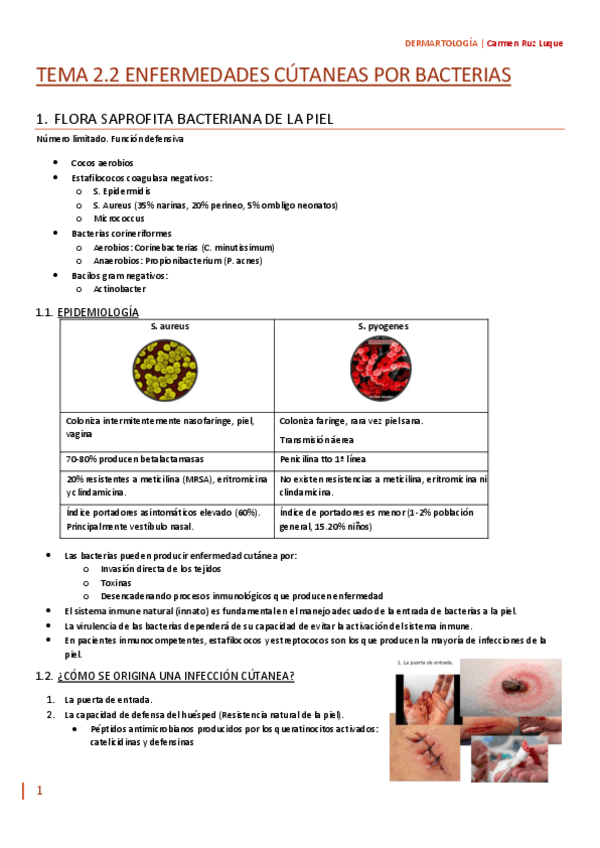 Miniatura del documento TEMA-2.2.pdf