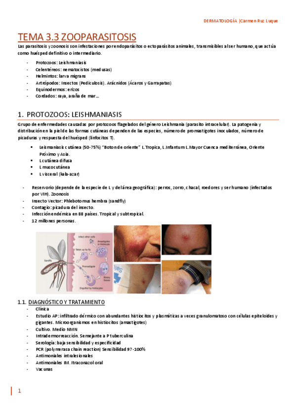 Miniatura del documento TEMA-3.3.pdf