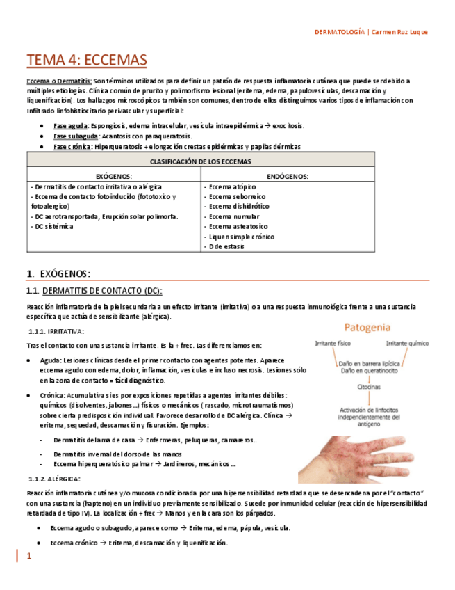 Miniatura del documento TEMA-4.pdf