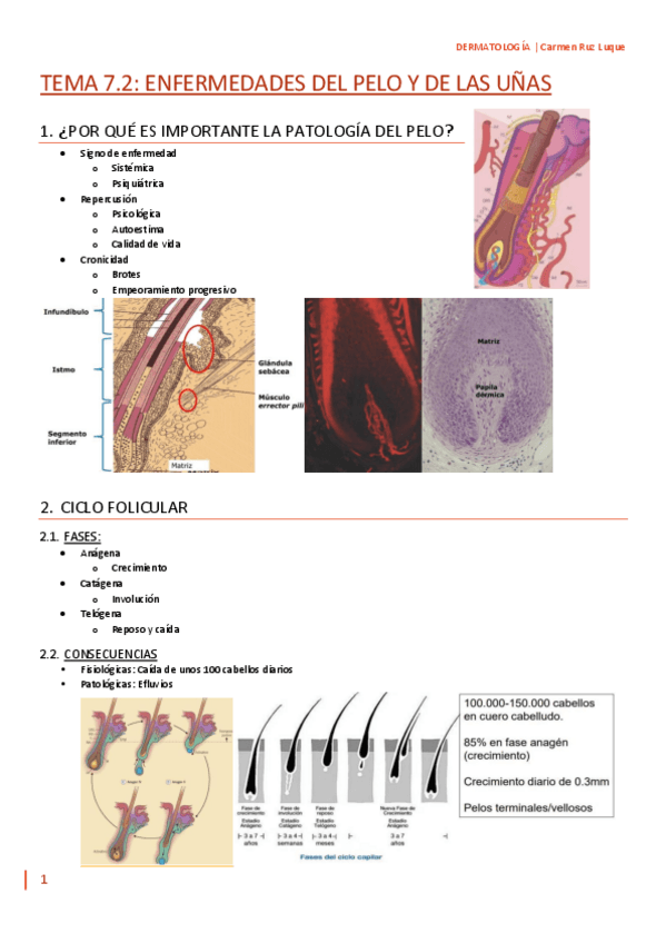 Miniatura del documento TEMA-7.2.pdf