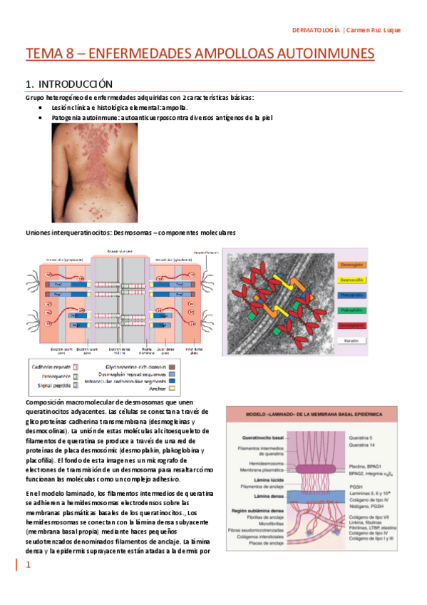 Miniatura del documento TEMA-8.pdf