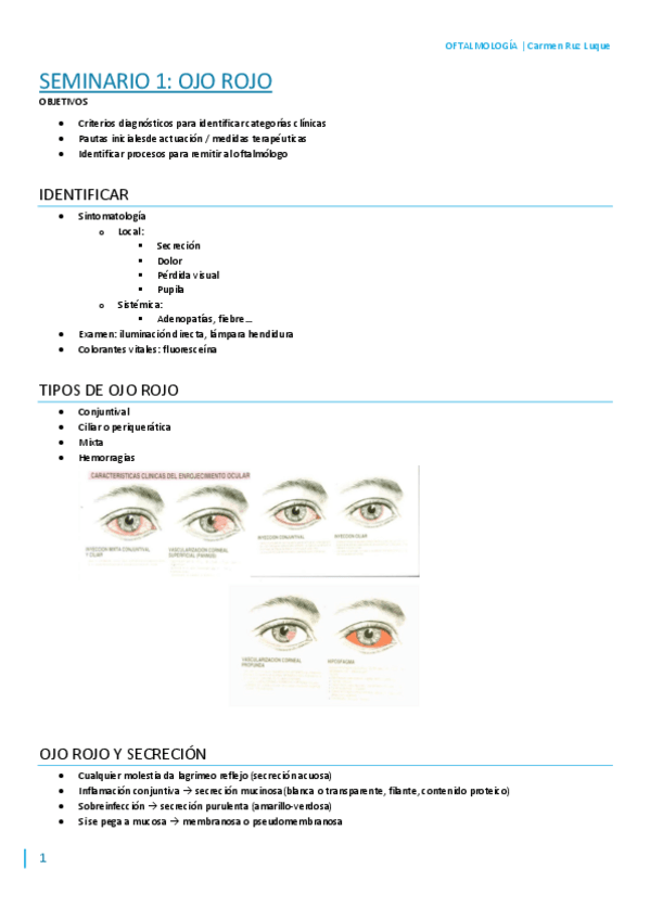 Miniatura del documento S1.pdf