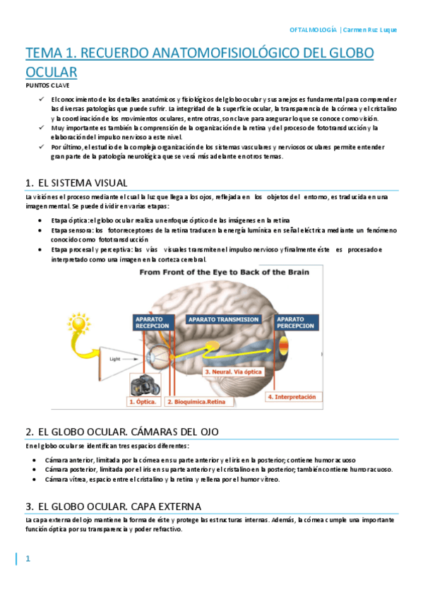 Miniatura del documento T1.pdf
