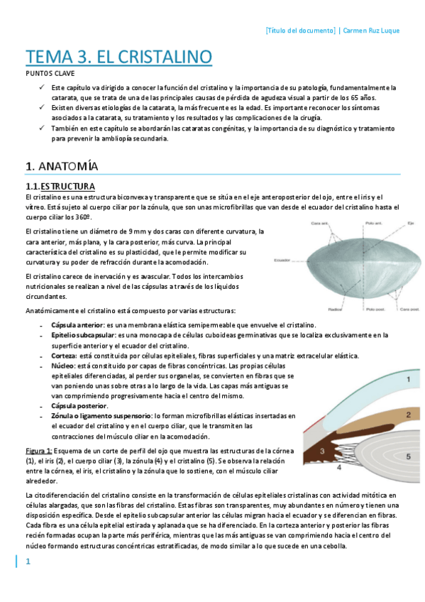 Miniatura del documento T3.pdf