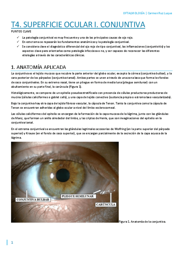 Miniatura del documento T4.pdf