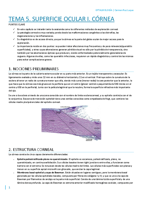 Miniatura del documento T5.pdf