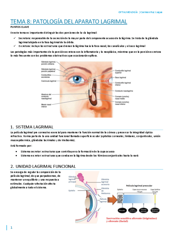 Miniatura del documento T8.pdf