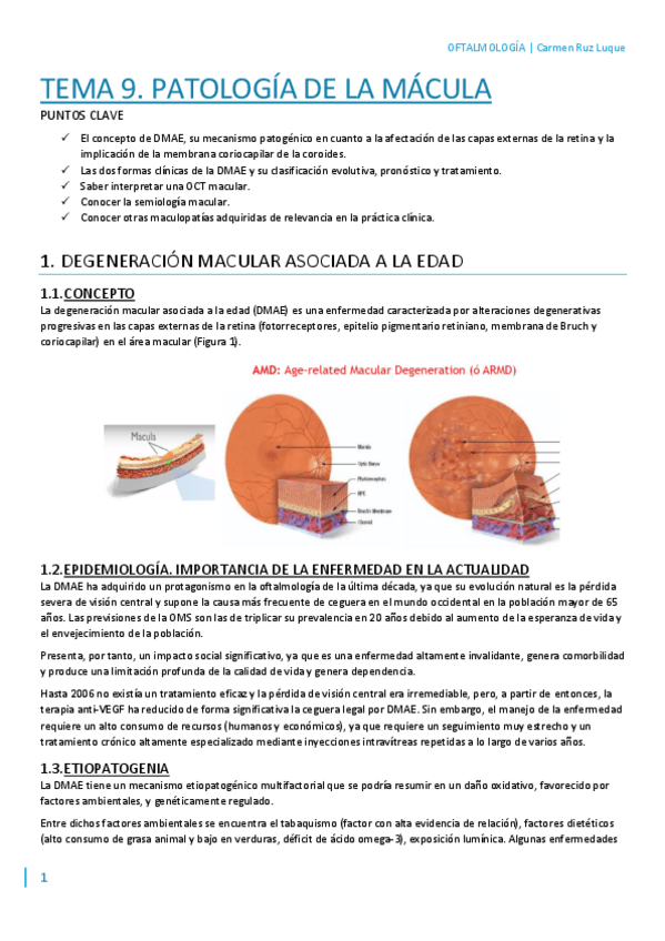 Miniatura del documento T9.pdf