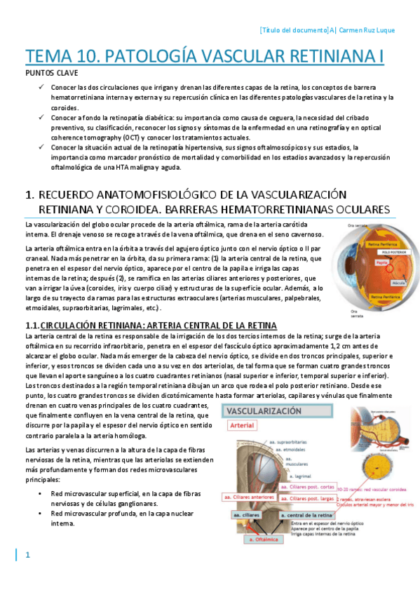 Miniatura del documento T10.pdf