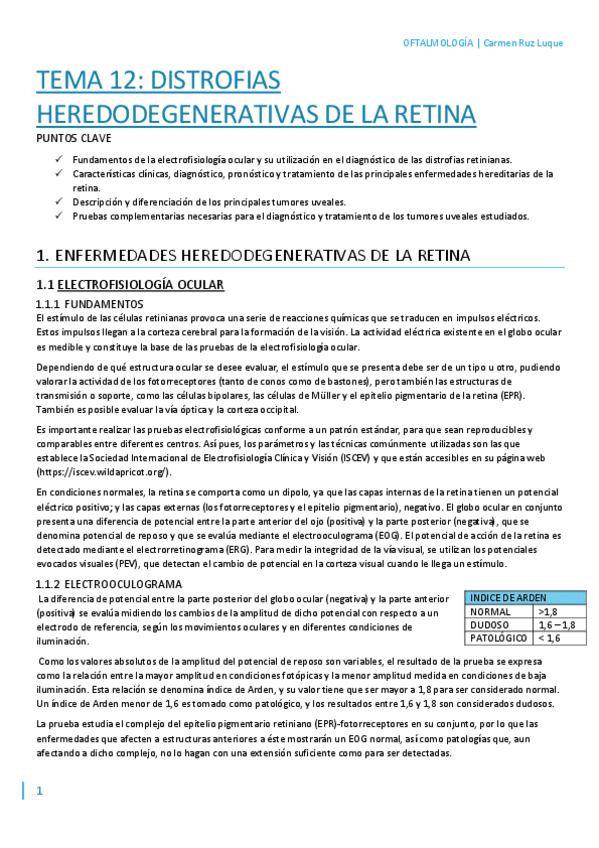 Miniatura del documento T12.pdf