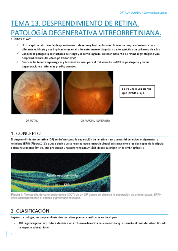Miniatura del documento T13.pdf